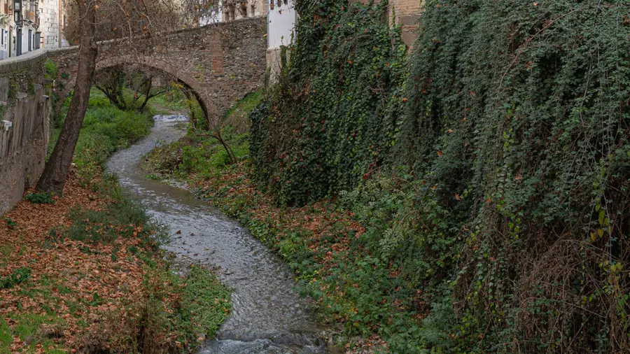 Historia sobre la conciencia del agua